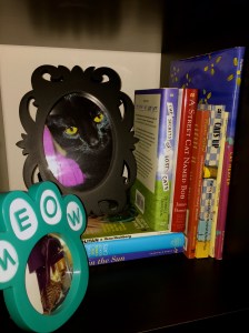 Books and cats...what more do you need?