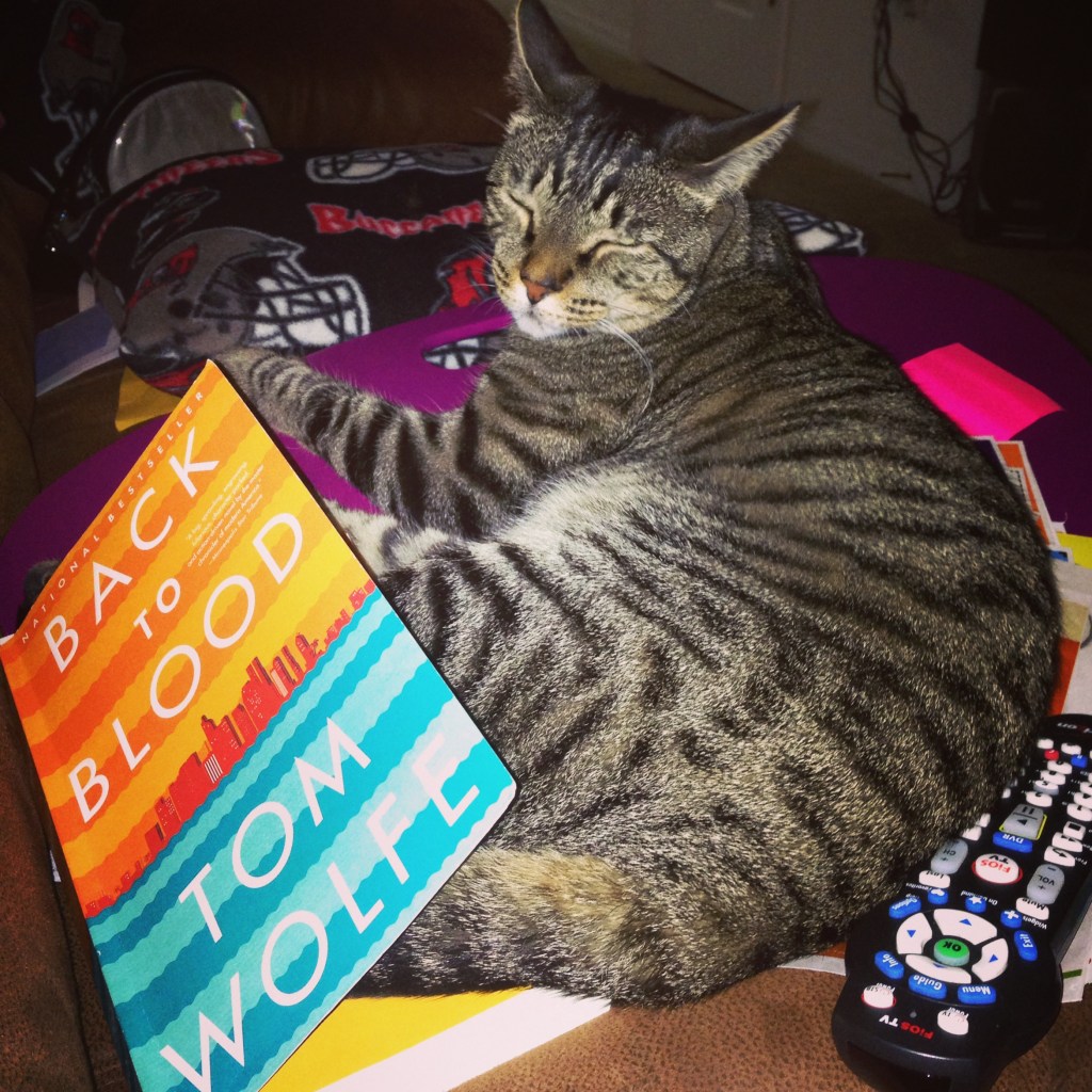 Silly cat, that's not how you read.